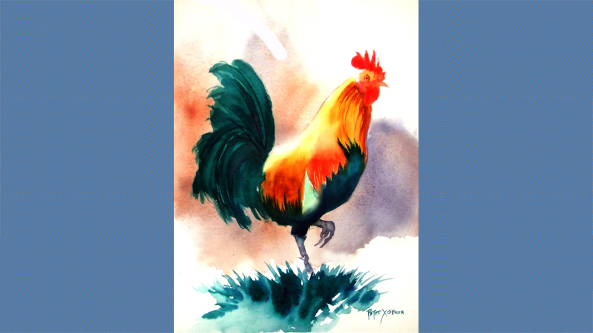"Kauai Rooster"